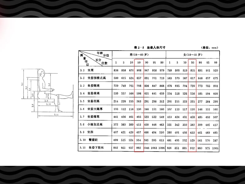 人体静态与动态尺寸.ppt_第3页