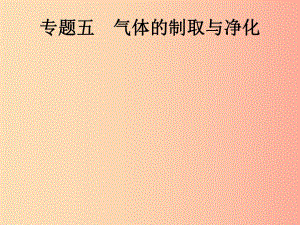 （課標(biāo)通用）甘肅省2019年中考化學(xué)總復(fù)習(xí) 專(zhuān)題五 氣體的制取與凈化課件.ppt