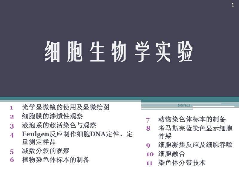 实验1光学显微镜的使用及显微绘.ppt_第1页