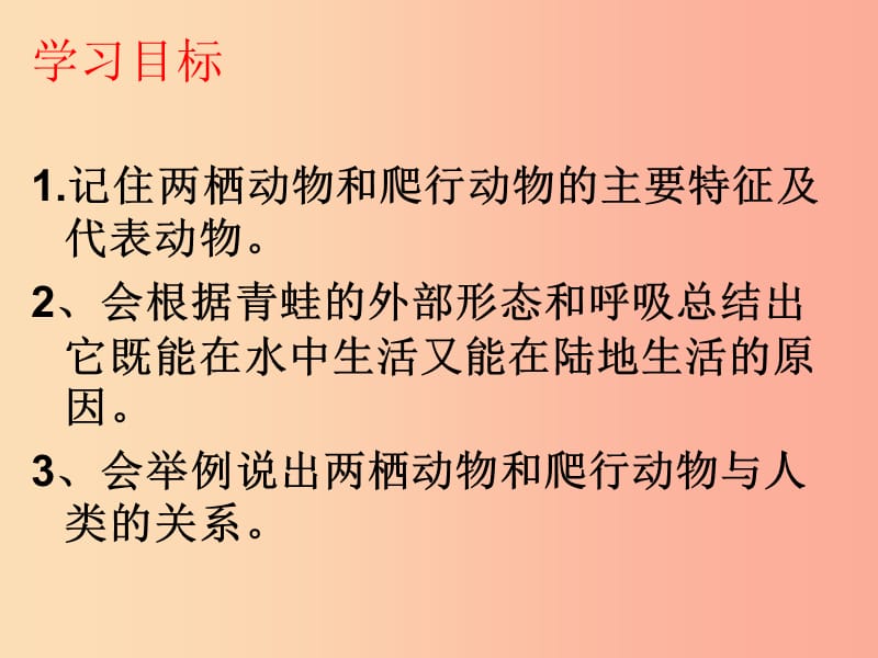 八年级生物上册 第五单元 第一章 第五节 两栖动物和爬行动物课件1 新人教版.ppt_第2页