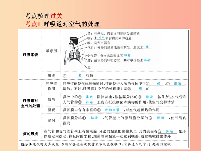 （聊城专版）2019年中考生物 第一部分 系统复习 成绩基石 第4单元 第3章 人体的呼吸课件.ppt_第2页