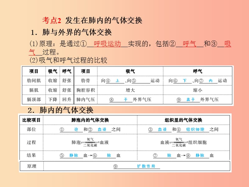 （聊城专版）2019年中考生物 第一部分 系统复习 成绩基石 第4单元 第3章 人体的呼吸课件.ppt_第3页