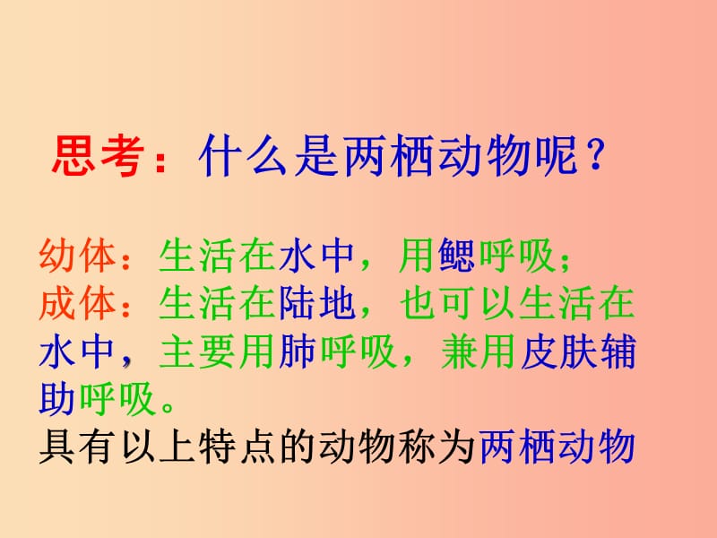 辽宁省凌海市2019年八年级生物上册 5.1.5两栖动物和爬行动物课件 新人教版.ppt_第2页