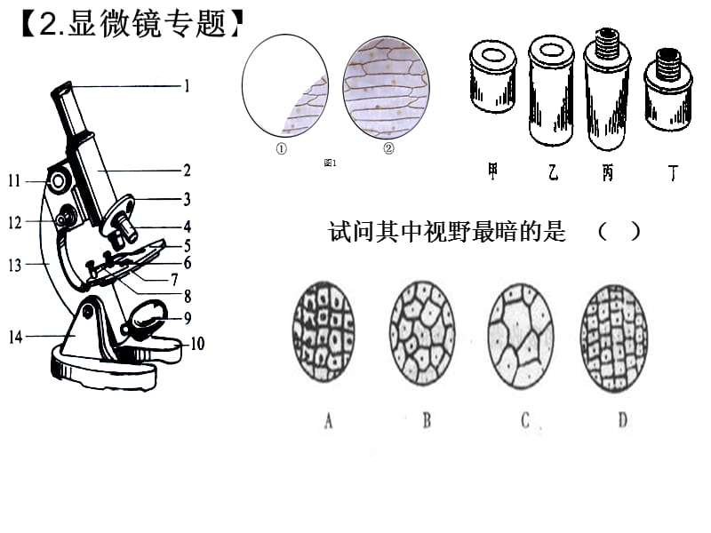 初二期末生物专题复习.ppt_第2页