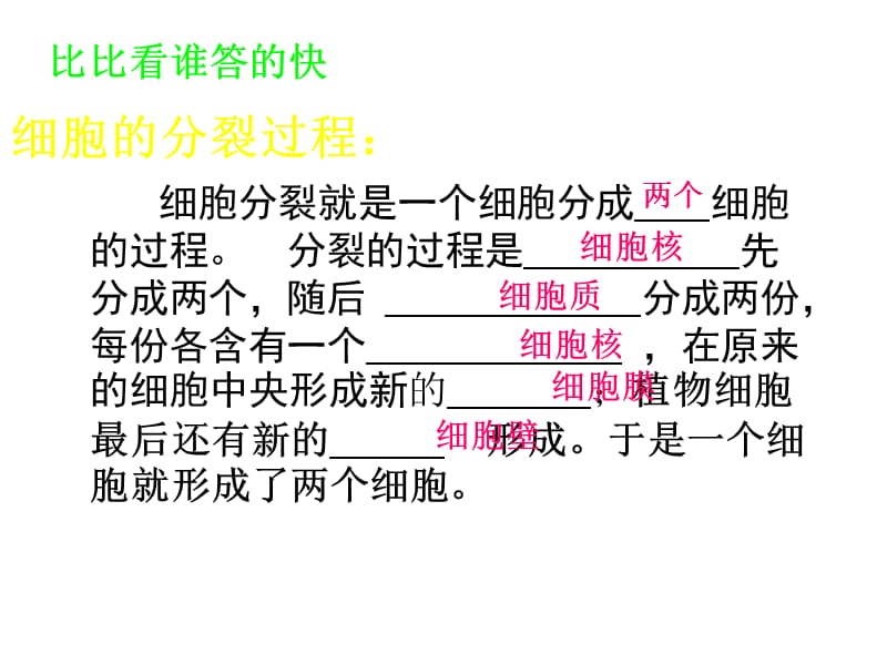 北师大版生物七上第一节《细胞分化形成组织》.ppt_第3页