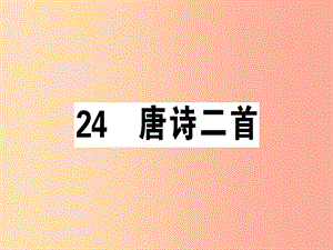 （安徽專版）2019春八年級(jí)語文下冊(cè) 第六單元 24 唐詩二首習(xí)題課件 新人教版.ppt