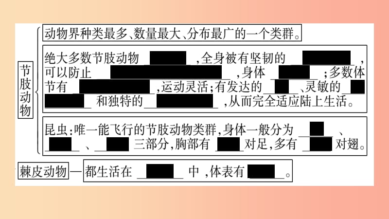 广西省玉林市2019年八年级生物下册第七单元第22章第4节动物的主要类群第1课时课件（新版）北师大版.ppt_第3页