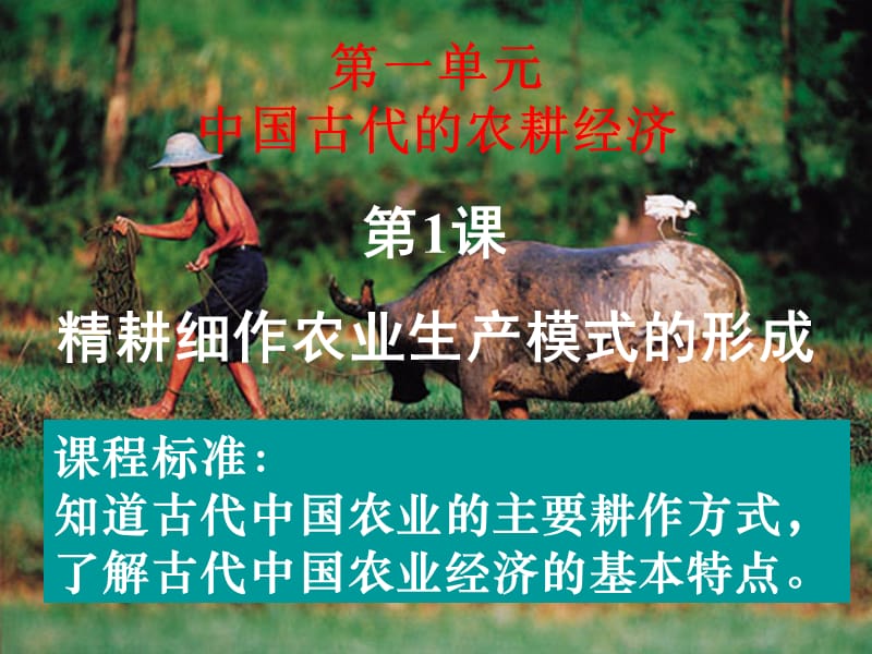 中国古代精耕细作农耕经济.ppt_第1页