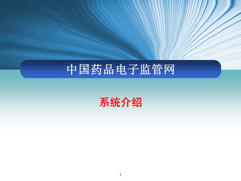 中国药品电子监管网介绍-JY.ppt_第1页