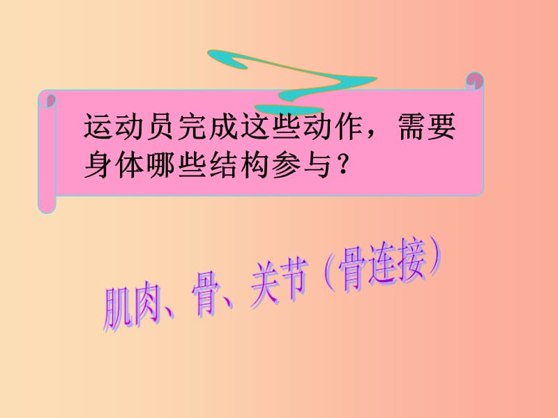 吉林省长春市八年级生物上册 第五单元 第二章 第一节 动物的运动课件 新人教版.ppt_第1页