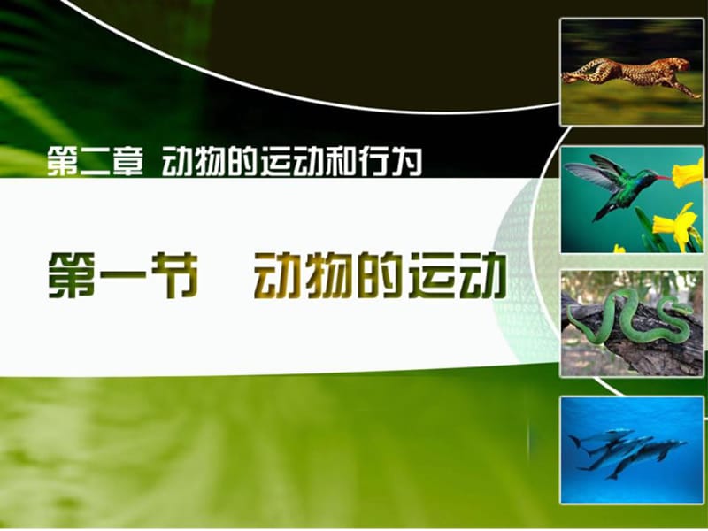 吉林省长春市八年级生物上册 第五单元 第二章 第一节 动物的运动课件 新人教版.ppt_第2页