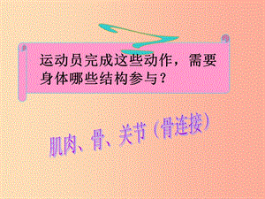 吉林省長春市八年級生物上冊 第五單元 第二章 第一節(jié) 動物的運動課件 新人教版.ppt