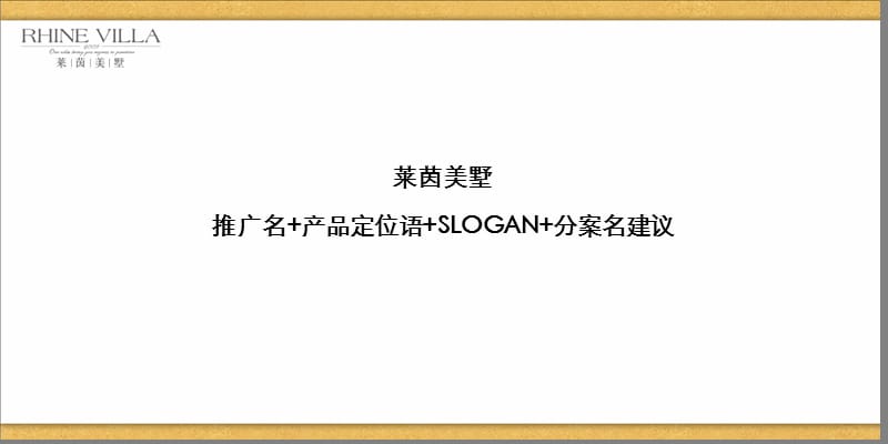 产品定位语SLOGAN.ppt_第2页