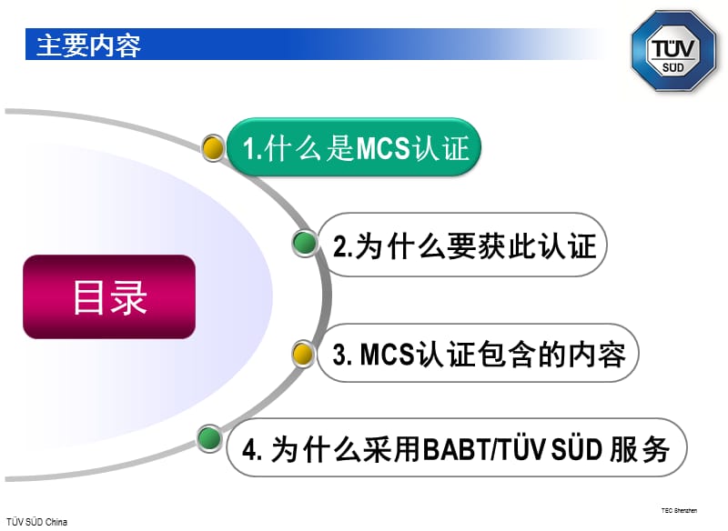 太阳能光伏组件英国MCS认证介绍.ppt_第2页