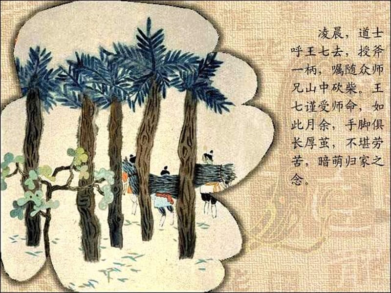 北师大版小学五年级下册《崂山道士》.ppt_第3页