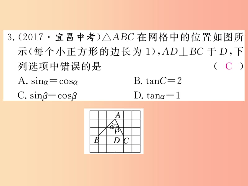 2019秋九年级数学上册 第24章 解直角三角形本章热点专练习题讲评课件（新版）华东师大版.ppt_第3页