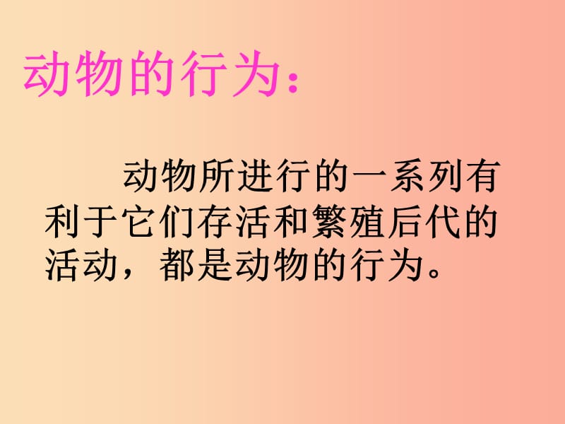 八年级生物上册5.2.2先天性行为和学习行为课件4 新人教版.ppt_第2页