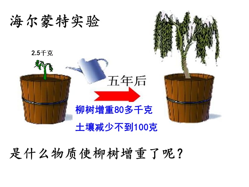 光合作用吸收二氧化碳释放氧气beiyong.ppt_第2页