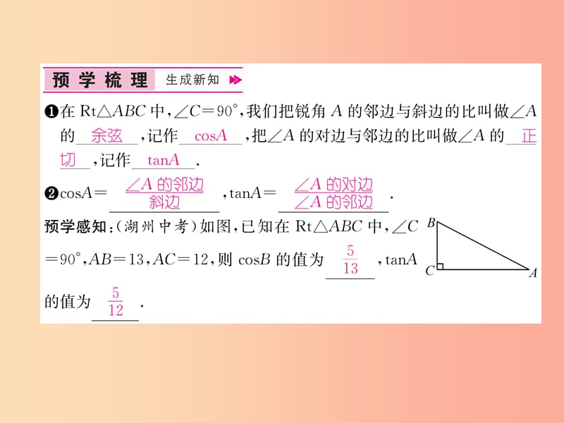 九年级数学下册第28章锐角三角函数28.1锐角三角函数第2课时锐角的余弦和正切习题课件 新人教版.ppt_第2页