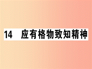 （廣東專版）2019春八年級(jí)語(yǔ)文下冊(cè) 第四單元 14 應(yīng)有格物致知精神習(xí)題課件 新人教版.ppt