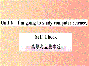 （通用版）2019秋八年級英語上冊 Unit 6 I’m going to study computer science高頻考點集中練新人教版.ppt