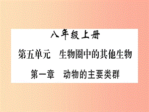 （玉林專版）2019年中考生物總復習 八上 第5單元 第1章 動物的主要類群習題課件.ppt