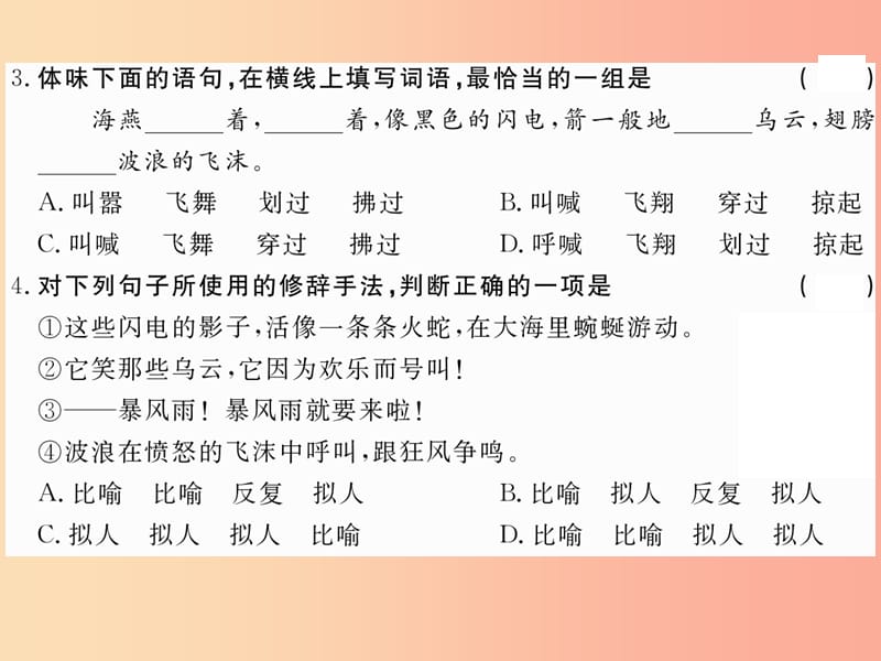 八年级语文下册 第一单元 1海燕习题课件 苏教版.ppt_第3页