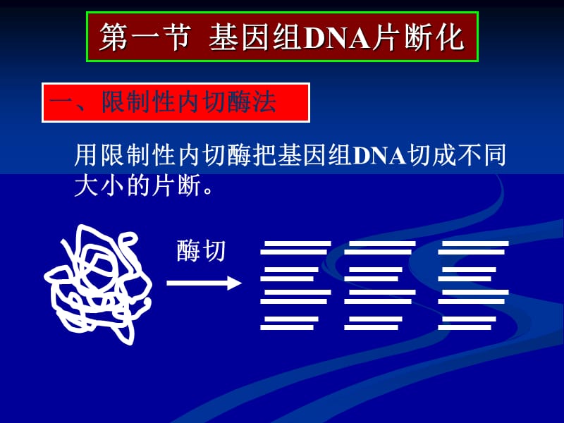 分子生物学实验第四章.ppt_第3页