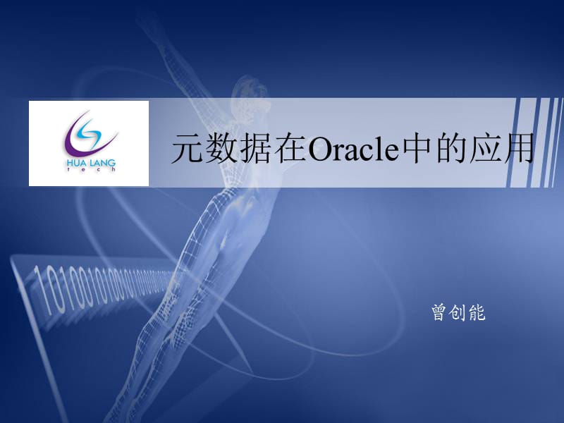 元数据在Oracle中的应用.ppt_第1页