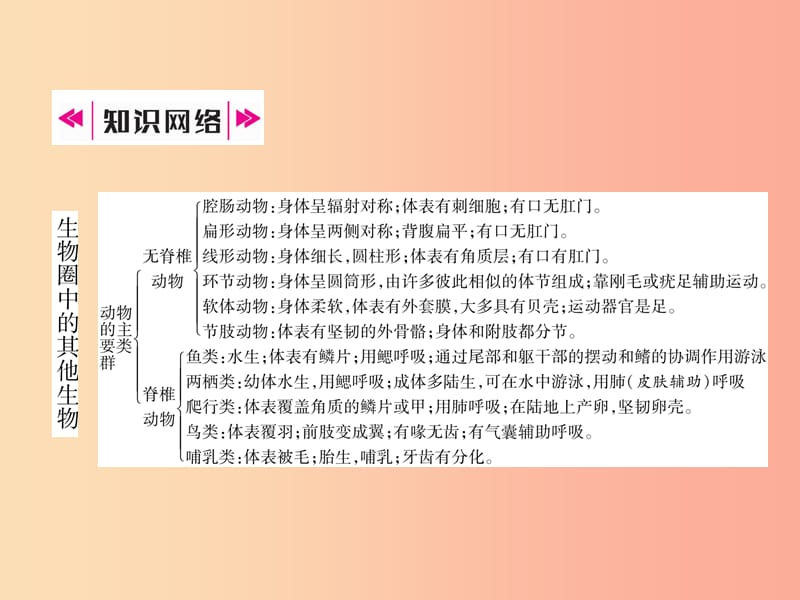 2019年八年级生物上册 第5单元 第1、2、3章小结作业课件 新人教版.ppt_第2页