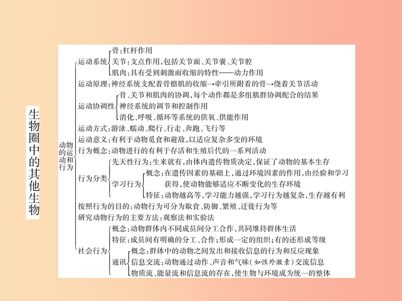 2019年八年级生物上册 第5单元 第1、2、3章小结作业课件 新人教版.ppt_第3页