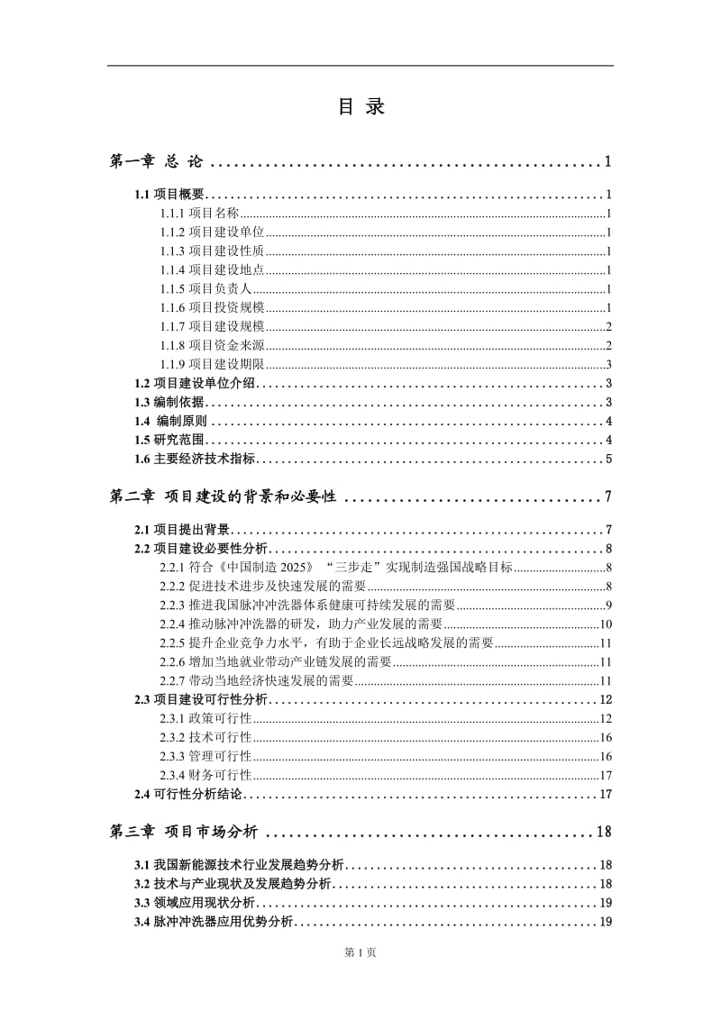 脉冲冲洗器新建项目可行性研究报告-可修改备案申请_第2页