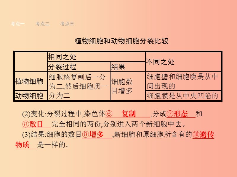 甘肃省2019年中考生物总复习 第四讲 细胞怎样构成生物体课件.ppt_第3页