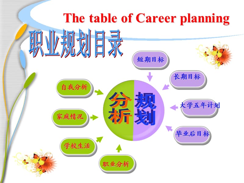 大学生职业生涯规划模板.ppt_第3页