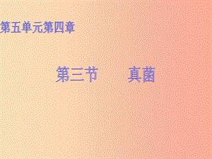 湖南省八年級(jí)生物上冊(cè) 5.4.3真菌課件2 新人教版.ppt