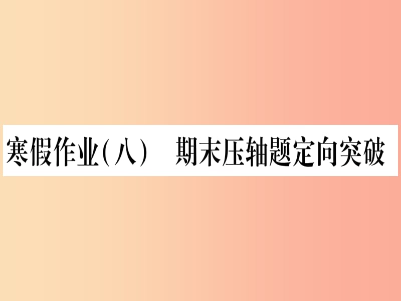 九年級數(shù)學下冊 寒假作業(yè)（八）期末壓軸題定向突破作業(yè)課件 （新版）滬科版.ppt_第1頁