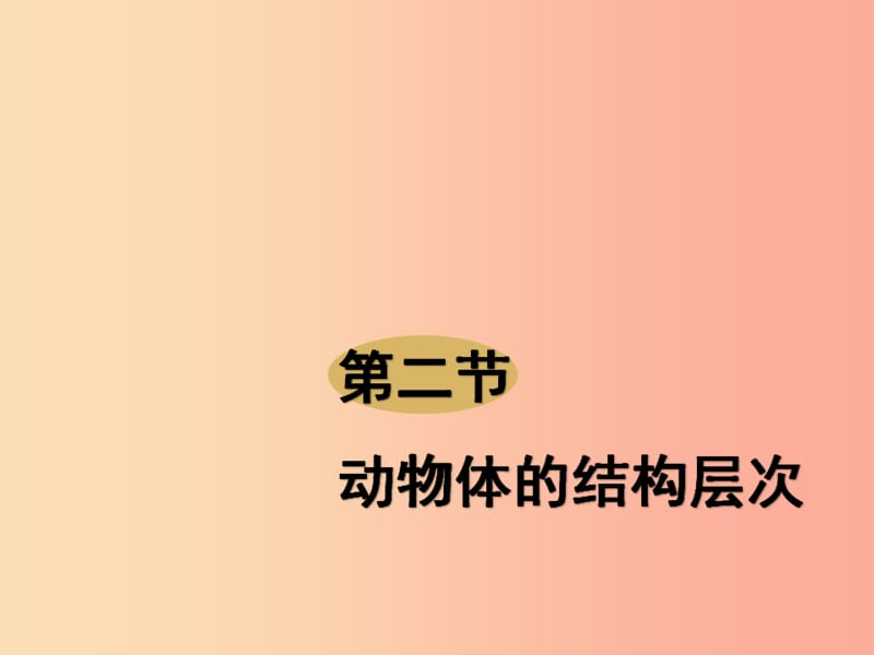 2019年七年级生物上册 2.2.2《动物体的结构层次》课件3 新人教版.ppt_第1页