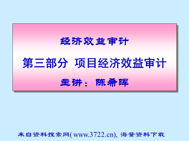 内部审计-项目经济效益审计).ppt_第1页