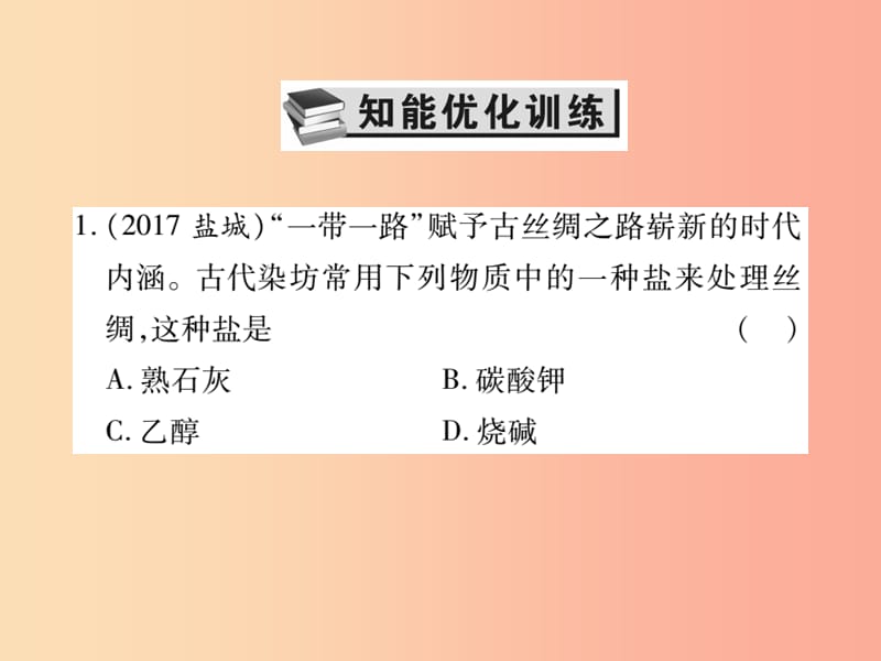 2019中考化学一轮复习第一部分基础知识复习第二章常见的物质第7讲盐和化肥精练课件.ppt_第2页