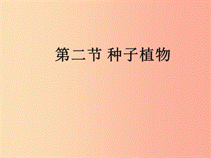 吉林省長春市七年級生物上冊 第三單元 第一章 第二節(jié)《種子植物》課件1 新人教版.ppt