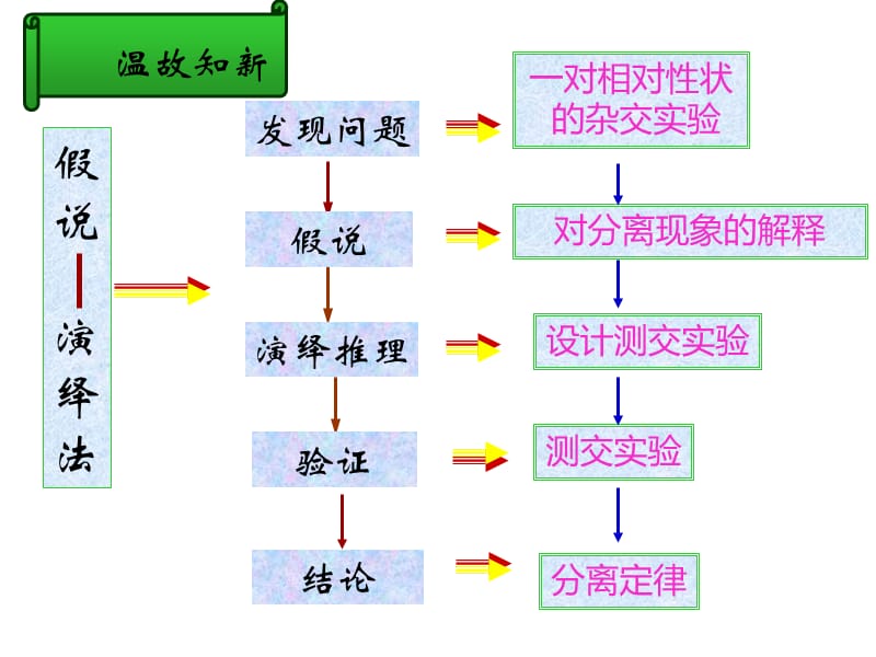 实用孟德尔的豌豆杂交实验.ppt_第2页