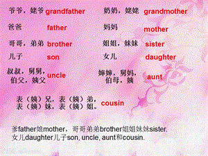 家庭成員英語單詞復(fù)習(xí).ppt