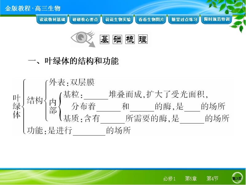 光合作用第一轮复习讲义.ppt_第3页