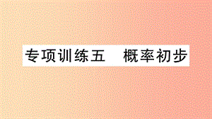 （江西專用）2019春九年級數(shù)學(xué)下冊 專項訓(xùn)練五 概率初步習(xí)題講評課件 新人教版.ppt