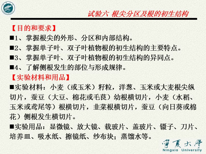 实验六根尖分区及根的初生结构.ppt_第2页