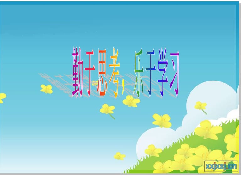 定性实验分析1确定.ppt_第1页