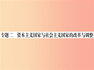 九年级历史下册 期末专题复习 专题二 资本主义国家与社会主义国家的改革与调整习题课件 新人教版.ppt