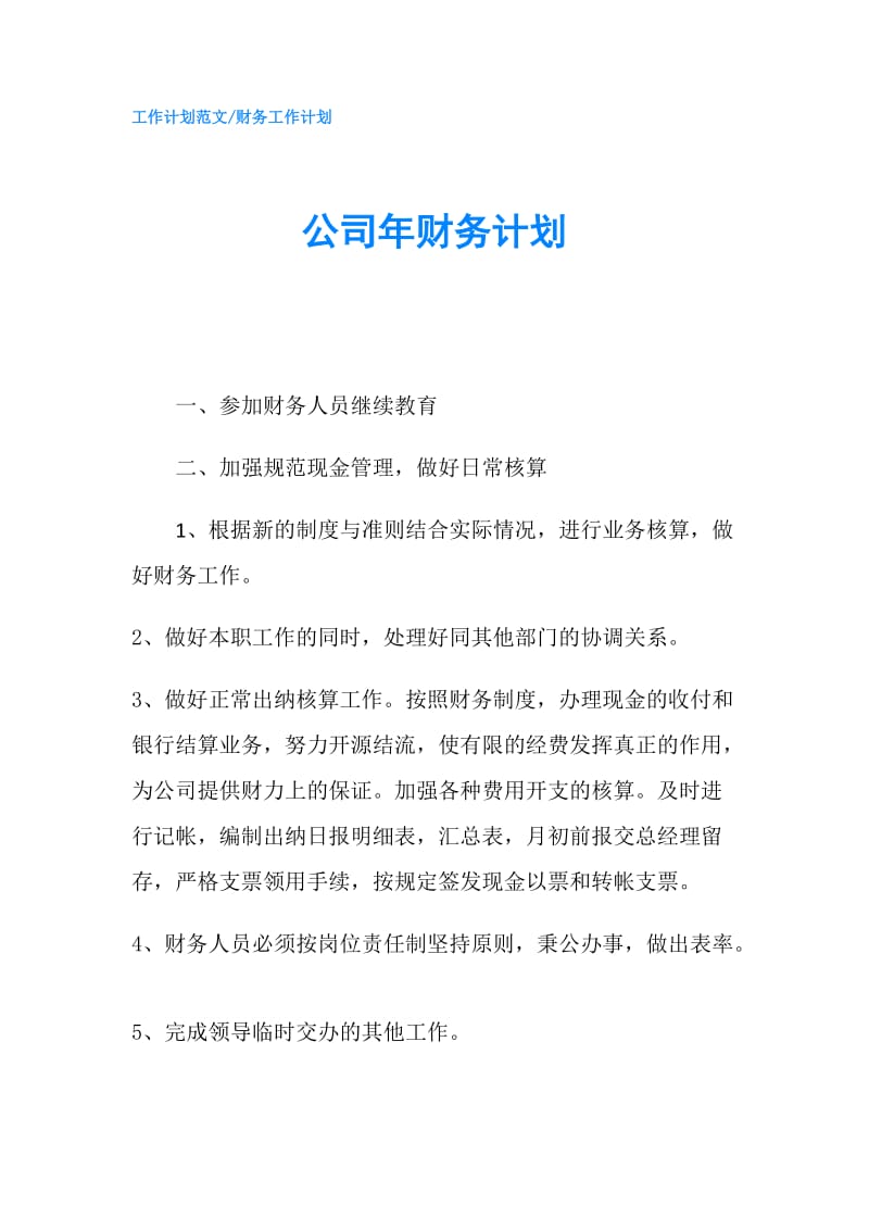 公司年财务计划.doc_第1页