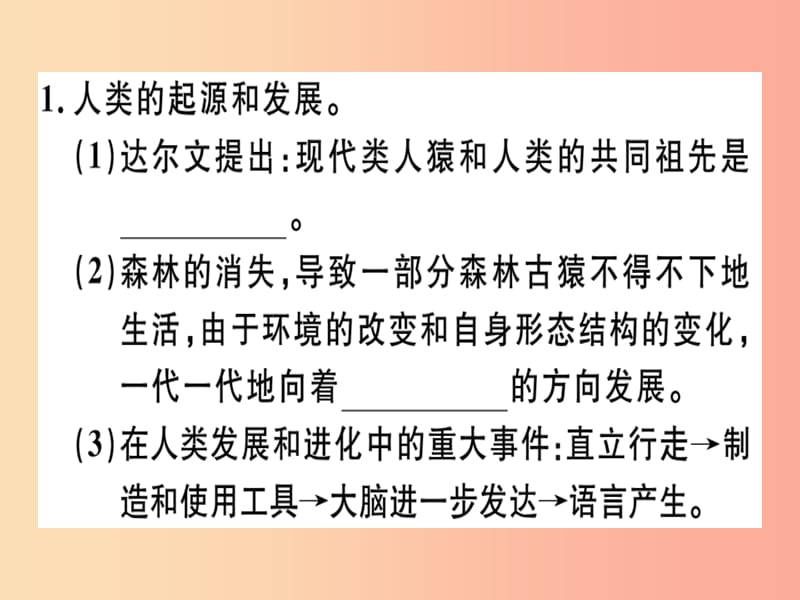 2019七年级生物下册知识梳理习题课件 新人教版.ppt_第2页