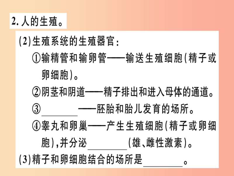 2019七年级生物下册知识梳理习题课件 新人教版.ppt_第3页